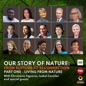Our Story of Nature: From Rupture to Reconnection