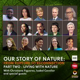 Our Story of Nature: From Rupture to Reconnection