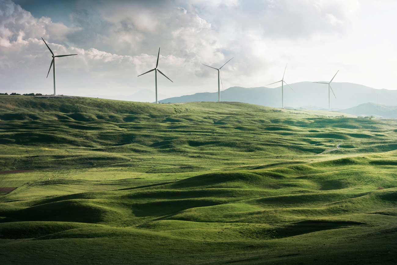 Wind turbines over green field