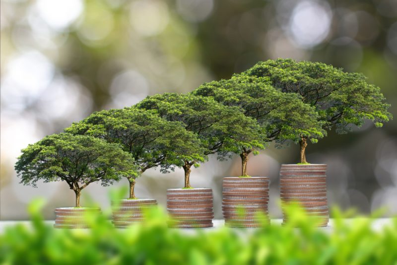 Trees growing on stacks of coins