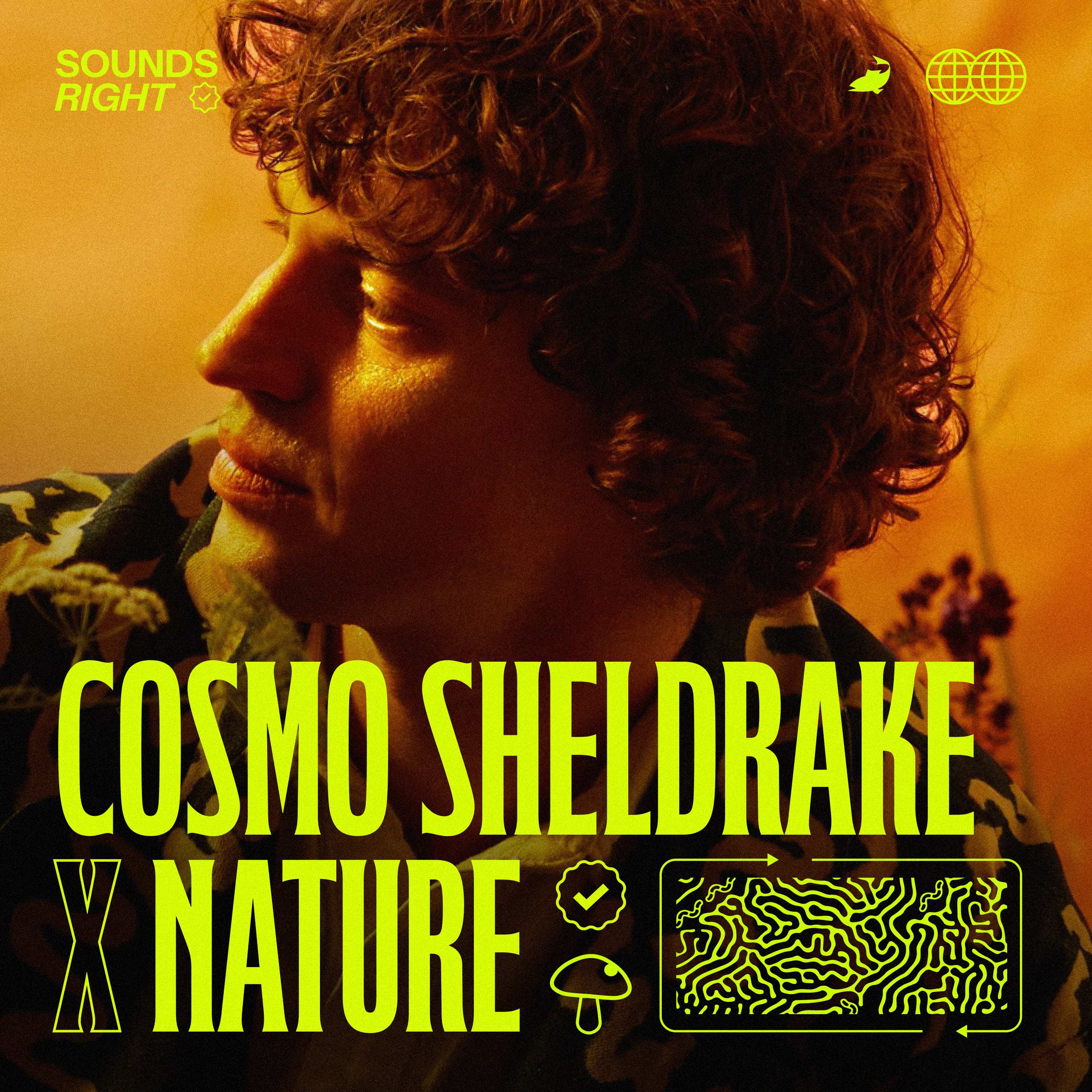 Cosmo Sheldrake