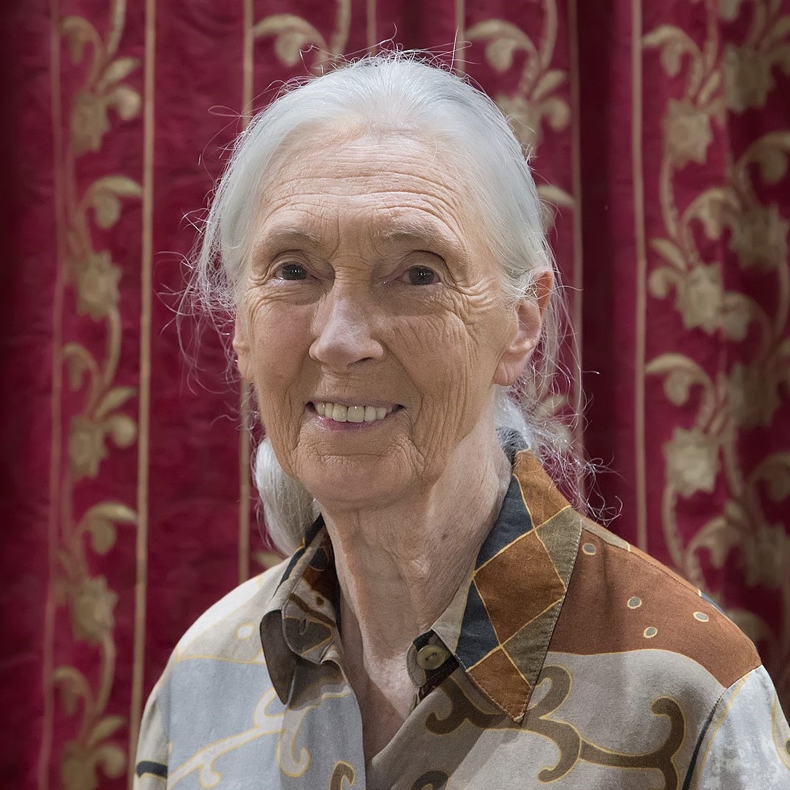 Jane Goodall